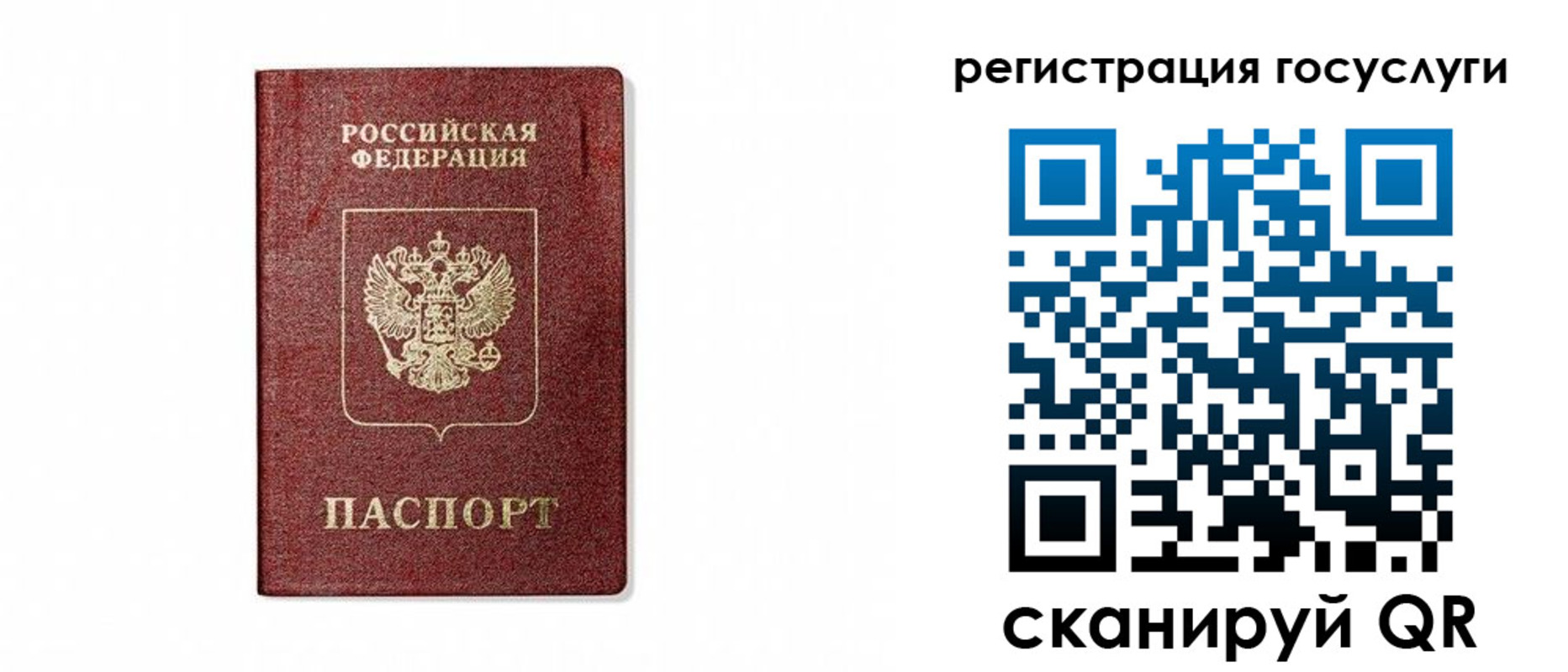 прописка паспорт в Семилуках
